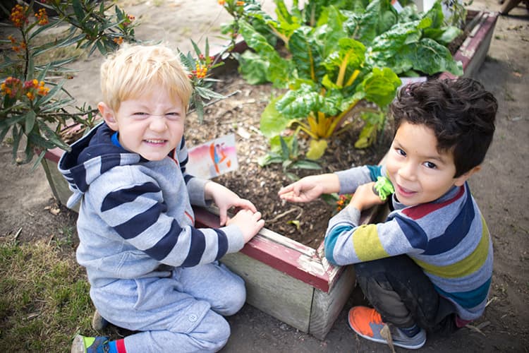 children gardening